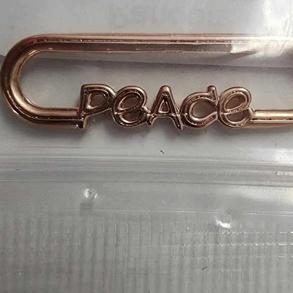 Pandora ME Styling Peace Word Link - Picture 1 of 7